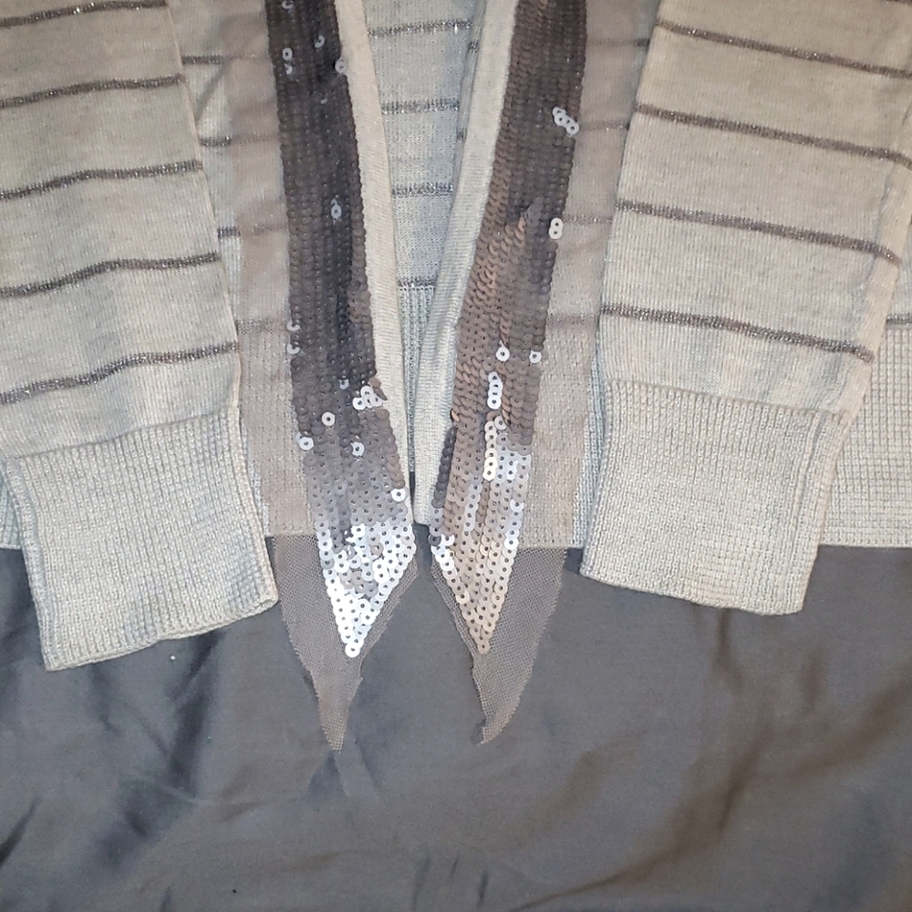 Anne Taylor LOFT Sweater